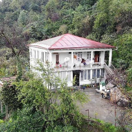 Guest House And Cellar Winery In Ortabatumi Batumi Georgia ภายนอก รูปภาพ