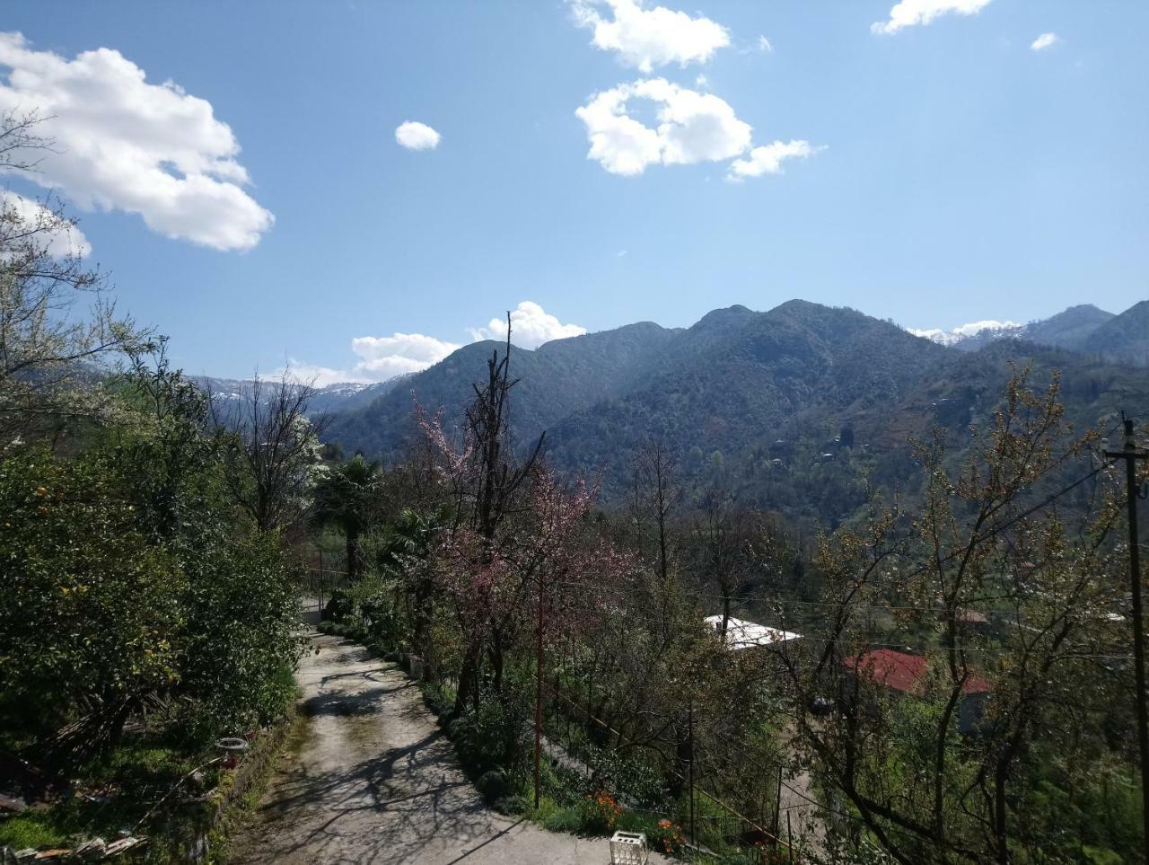 Guest House And Cellar Winery In Ortabatumi Batumi Georgia ภายนอก รูปภาพ