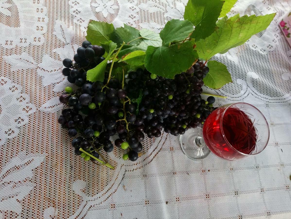 Guest House And Cellar Winery In Ortabatumi Batumi Georgia ภายนอก รูปภาพ