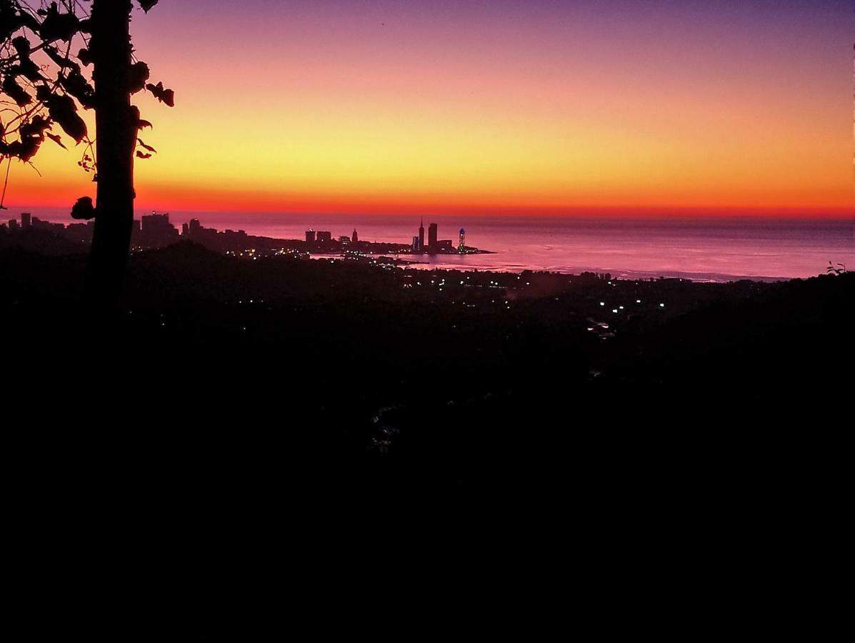 Guest House And Cellar Winery In Ortabatumi Batumi Georgia ภายนอก รูปภาพ