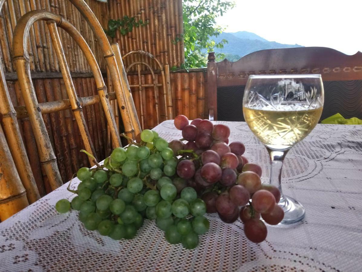 Guest House And Cellar Winery In Ortabatumi Batumi Georgia ภายนอก รูปภาพ