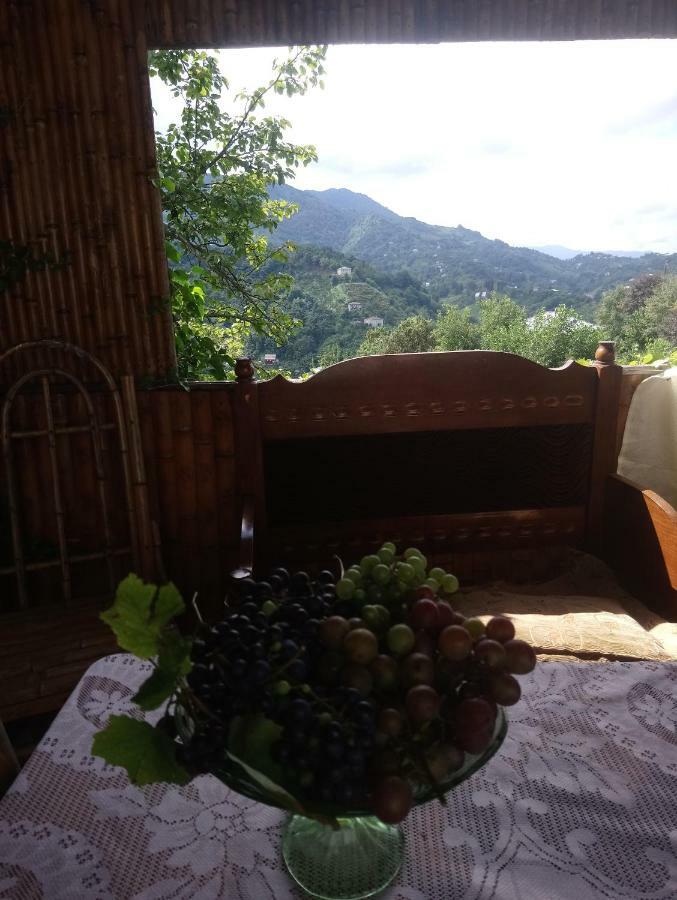 Guest House And Cellar Winery In Ortabatumi Batumi Georgia ภายนอก รูปภาพ